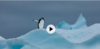 upload_2021-10-4_18-16-34.png
