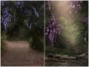 ZgtTsXrtQhqi5jUlrDuw_Wisteria_Collection_2_Screenshot.jpg