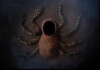 spider-poppet.jpg