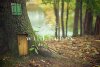 fairy-door-.jpg