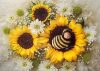 TN-Sunflowers-love-300x214.jpg