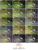 Matte-Collection-Overview.jpg