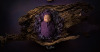 Aofie-NEW-Digital-Background_Wooden-Bowl_WebAss_1200x648.png