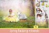 spring-backdrop-animals-first-image-.jpg