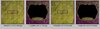 everyday card screen.jpg