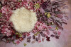 883A8474-S.jpg