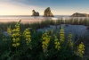 nGwuIQ8vRhqZseveg9wE_gallery-lg3.jpg