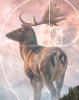 Nature-Composite-Stock-Photos-Photoshop-Ex-04.jpg