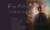 fairy portrait assets bundle.jpg
