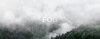 fog.jpg