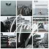 no-header-Grays_00000.jpg