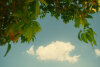 gallery-0002.jpg