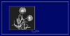 tMd1NWP.png