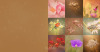 L4HGS3f.png
