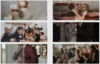 Screenshot-2022-09-07-at-12-36-47-MW-LUTS-Color-Grading-LUTS-for-Wedding-Filmmakers.png
