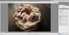 newborn start to finish basket.jpg