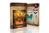 fantasy_wings-500x333.jpg