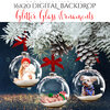 Ashe_Design_Digital_Backdrop_Glitter_Glass_Ornaments_AFTER.jpg