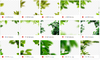 imagen_2022-10-29_162704027.png
