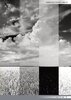 PCL - Black and White Photography Tricks and Tips - 12th Edition 2022_Page_11.jpg