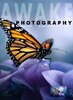Awake Photography -  01 January 2019_Page_01.jpg