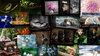 Awake Photography - Vol 9 Juli 2022_resize.jpg