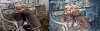 before-after.jpg