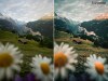 Slovenia.jpg