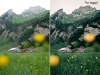 Portugal.jpg