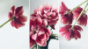 The-Art-of-Photo-Composition.jpg