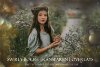 Swirly-Bokeh-Overlays-Photoshop-Overlay-Graphics-44770914-1-1-580x387.jpg