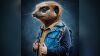 234134f-72c4-b1a-0d8c-d177310a5f4_module-04-enlightened-animal.jpg