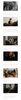 Screenshot_20231009_200642_Chrome.jpg
