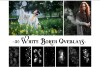 50-white-bokeh.jpg