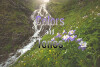 colors-and-tones-video.jpg