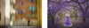 upload_2024-1-16_2-51-32.png