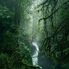 d5a3d9_d99da12fdae94334be987776670f2f52~mv2.jpg