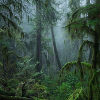 d5a3d9_de4bd960a38447548423aaeed64d8777~mv2.jpg