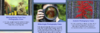 upload_2024-2-6_22-45-19.png