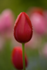 upload_2024-2-7_0-10-49.png