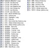 skin brush contents.jpg