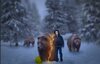 Winter Walk.JPG