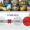 bde77eee73ed3cc1fe7eec4f39ced571.jpg