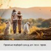 d0a4d258ecd15e32bda116bb45d8a27d.jpg