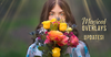 MagicalUpdate_MBL1200.png