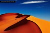 23tqf4h.jpg