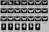 angel wings 1.jpg
