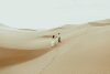 sand_dunes0057_websize_websize-1536x1024.jpg