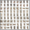 upload_2025-1-23_22-46-15.png