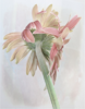 upload_2025-2-1_3-33-45.png